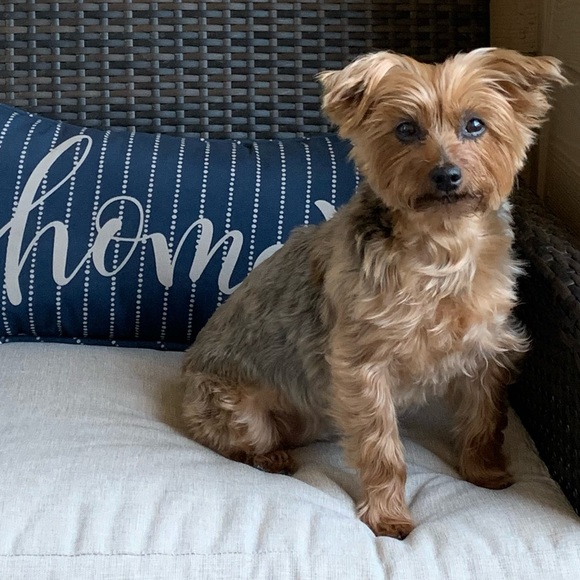 Meet your Posher, Erin - Picture 2 of 2